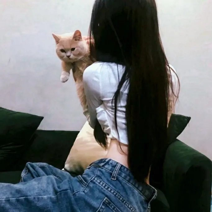 总统与奶牛